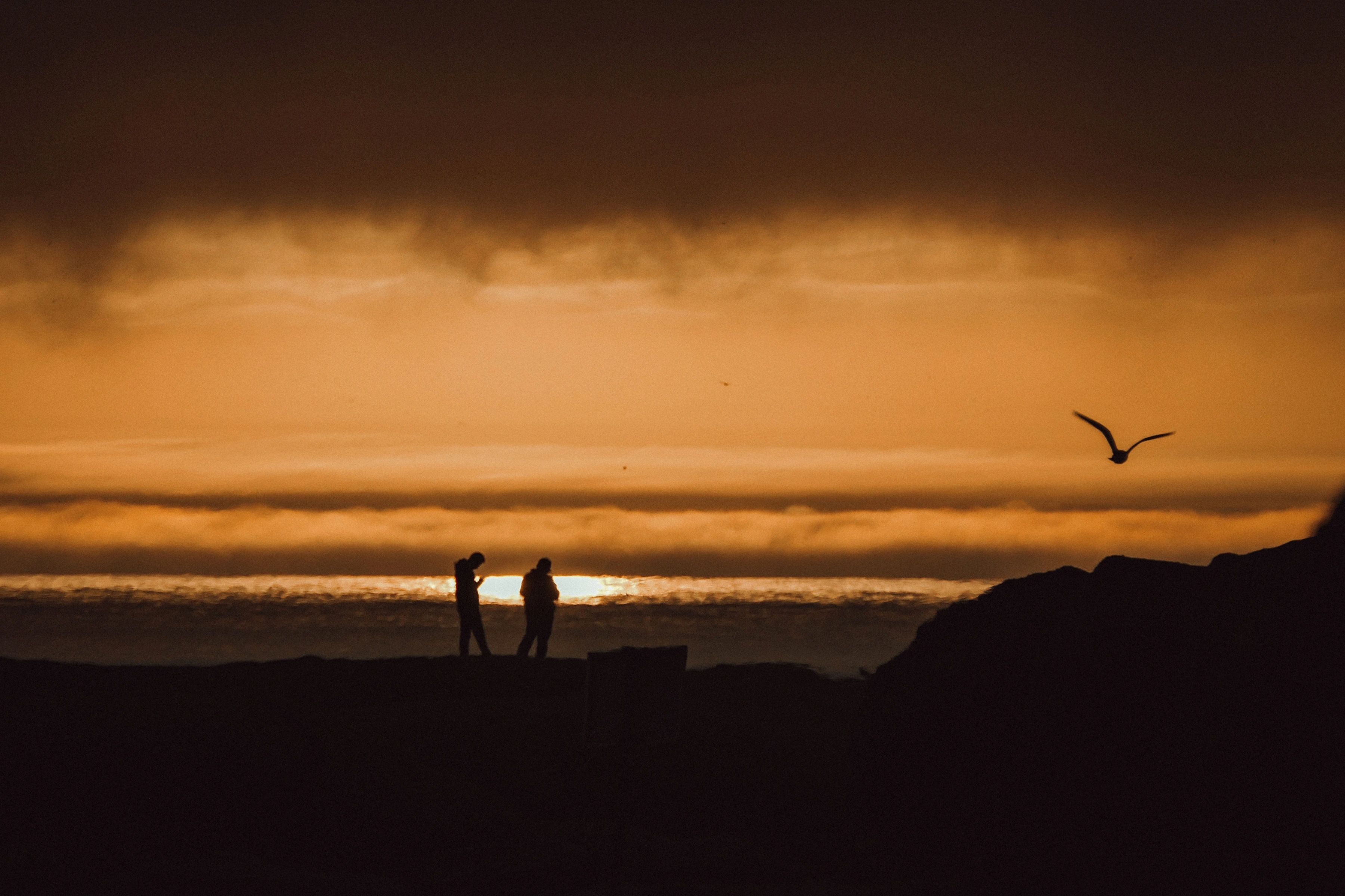 Two dark figures stand beside amber water while a bird crosses the sky above the rocky shore.