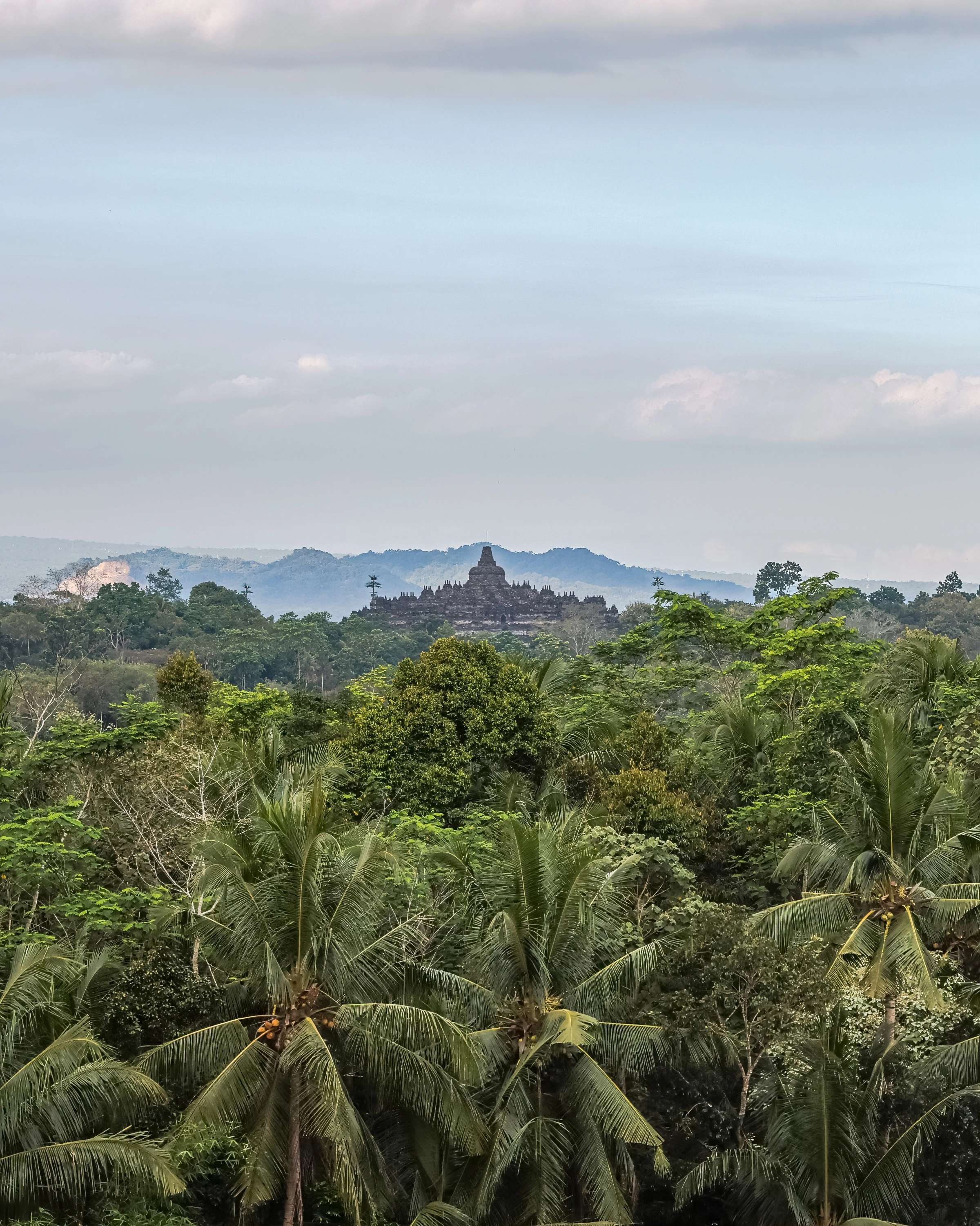 A distant temple rises beyond layered palms and woodland under a pale sky.