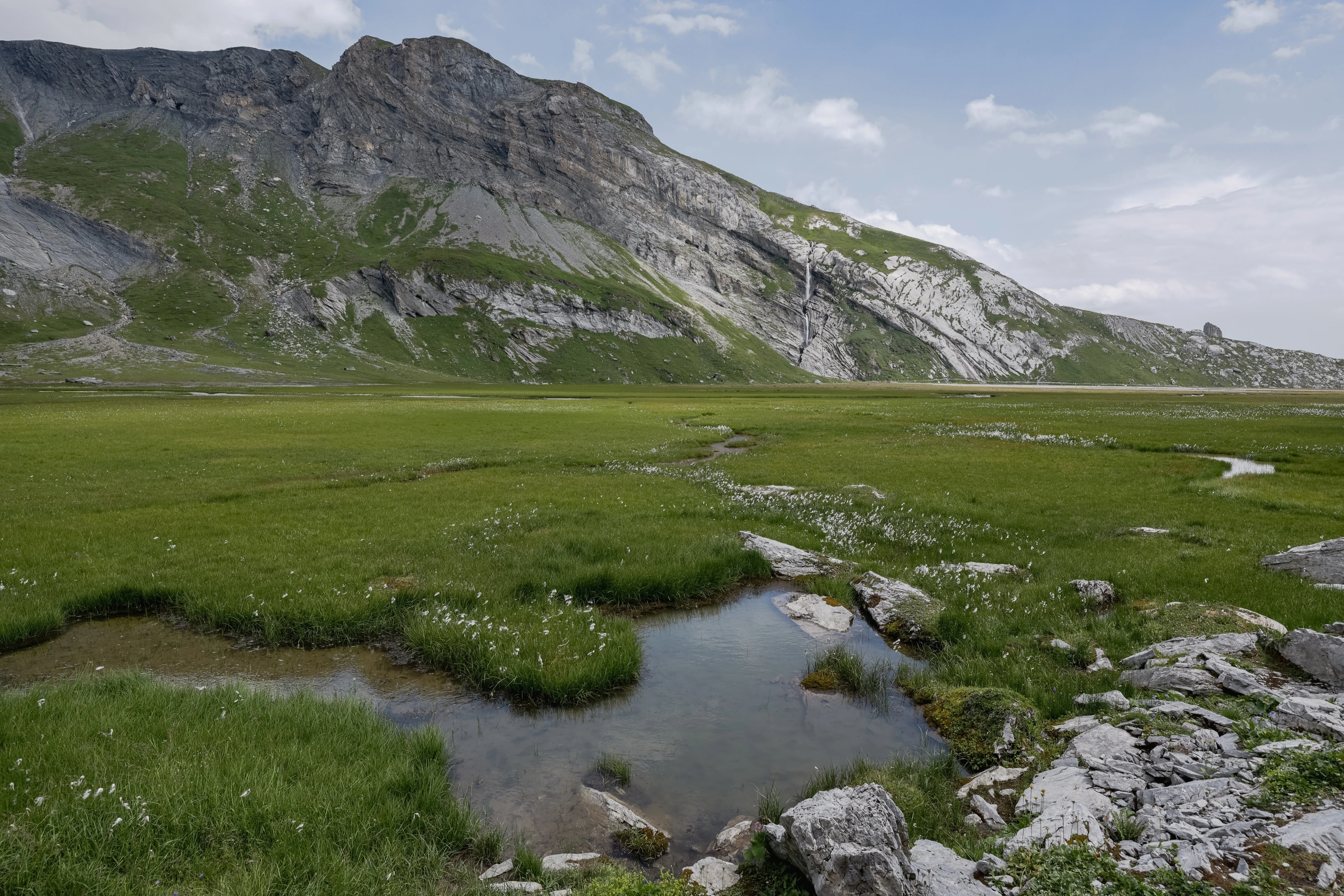 A shallow foreground pool and pale plant tufts lead toward a rocky wall and a thin distant waterfall.