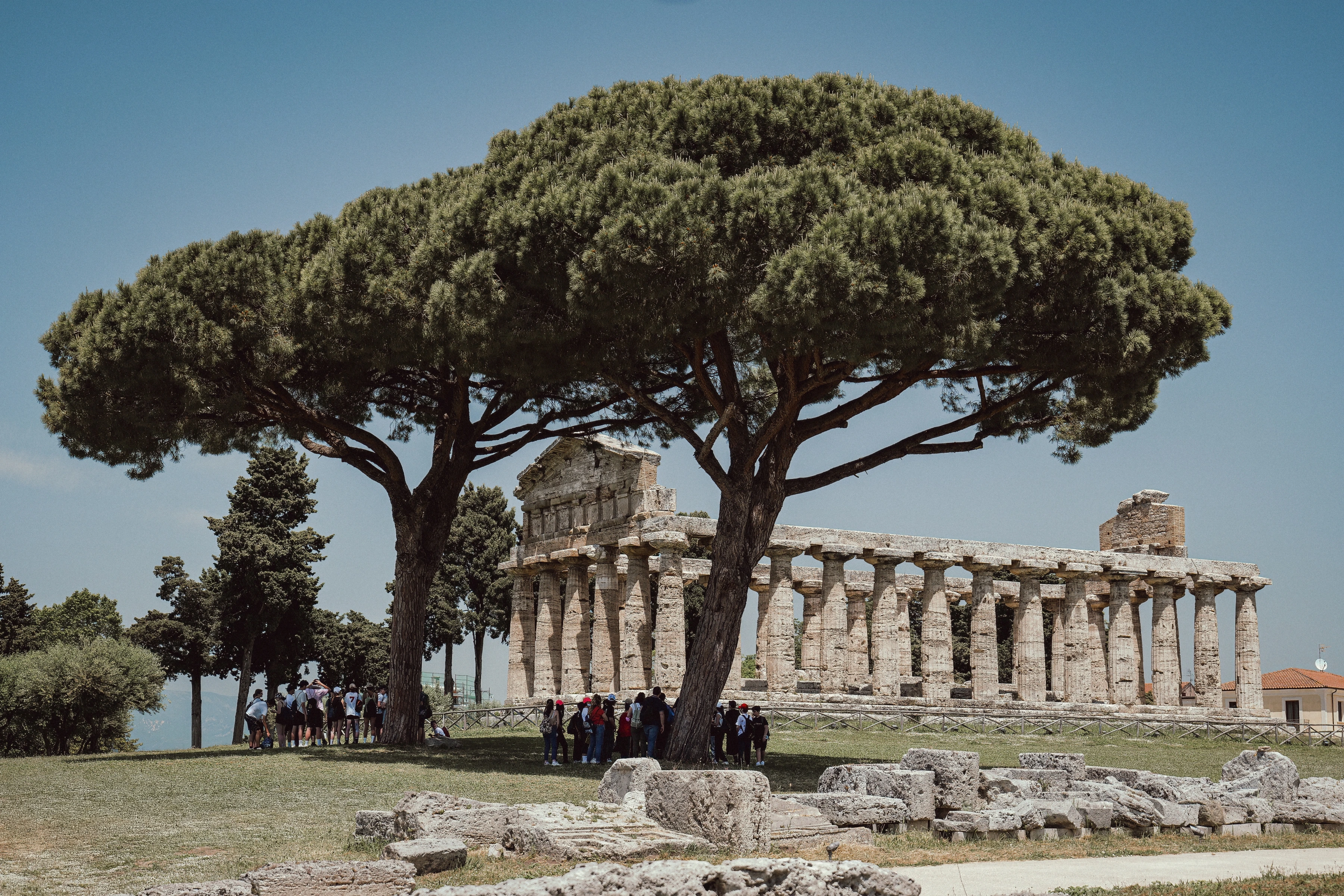 Two broad tree canopies rise above a classical colonnade and groups of people among stone blocks.