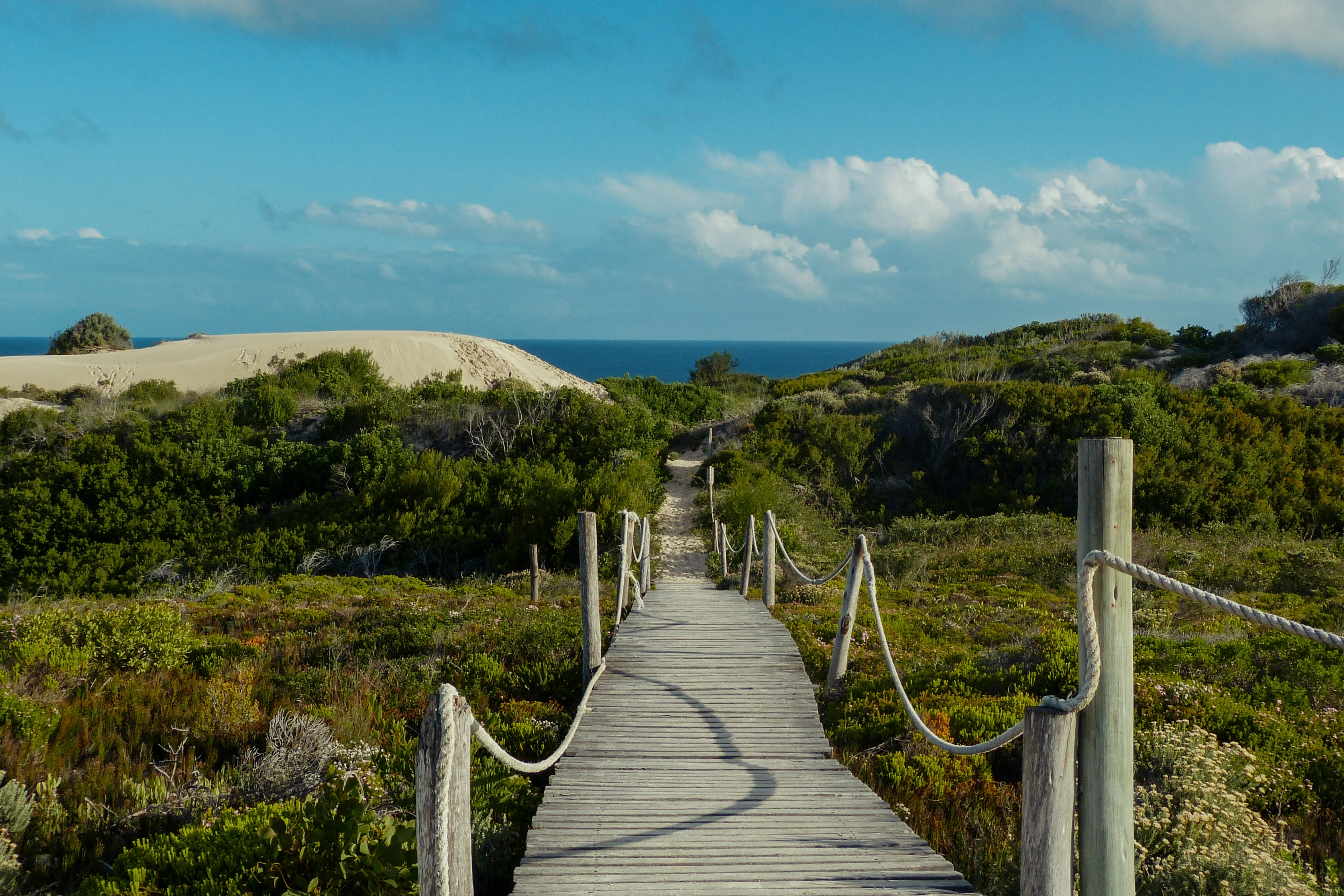 A wooden boardwalk with rope rails descends through scrub toward a pale dune and a narrow ocean horizon.