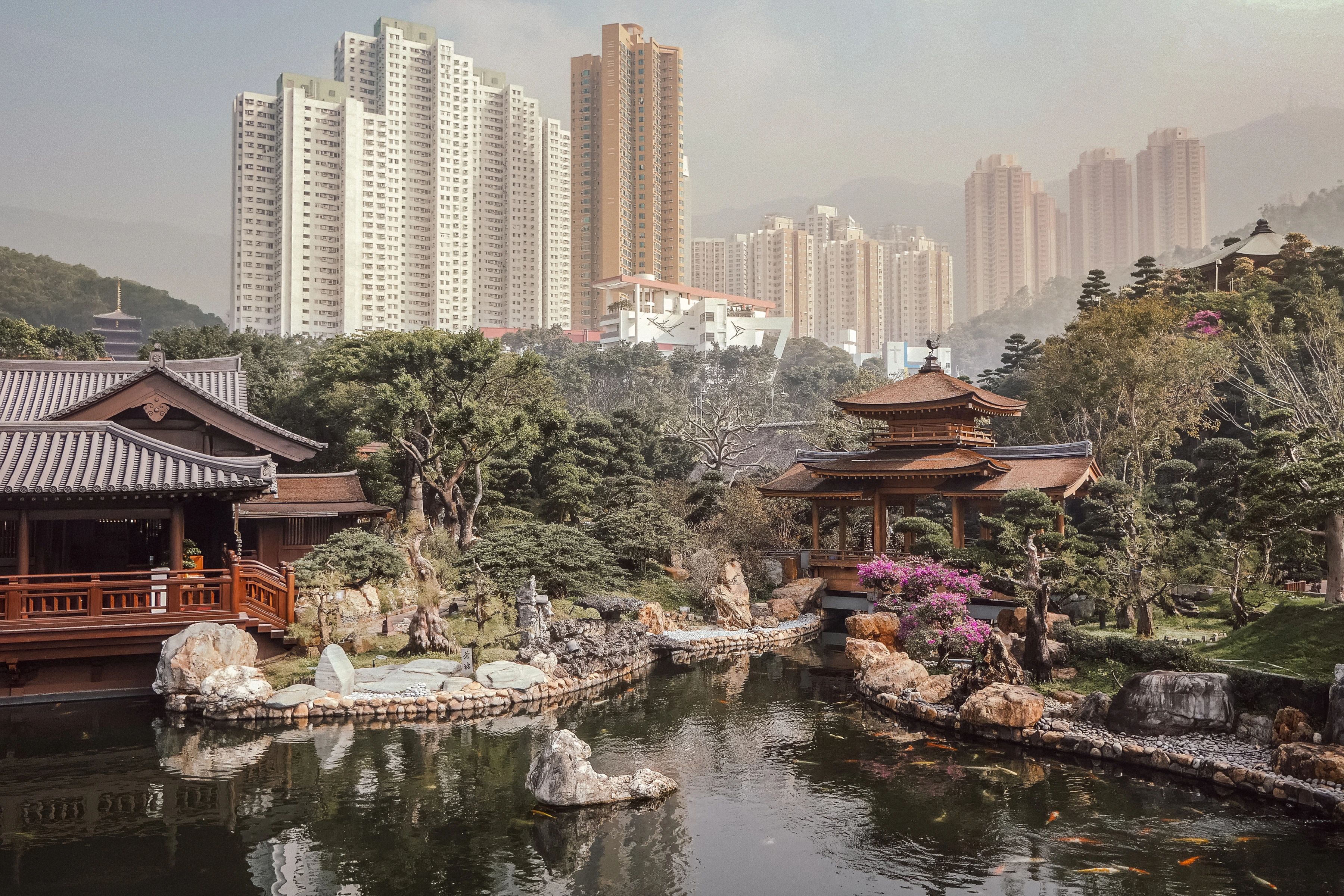A landscaped garden and traditional roofs sit below tall residential blocks.