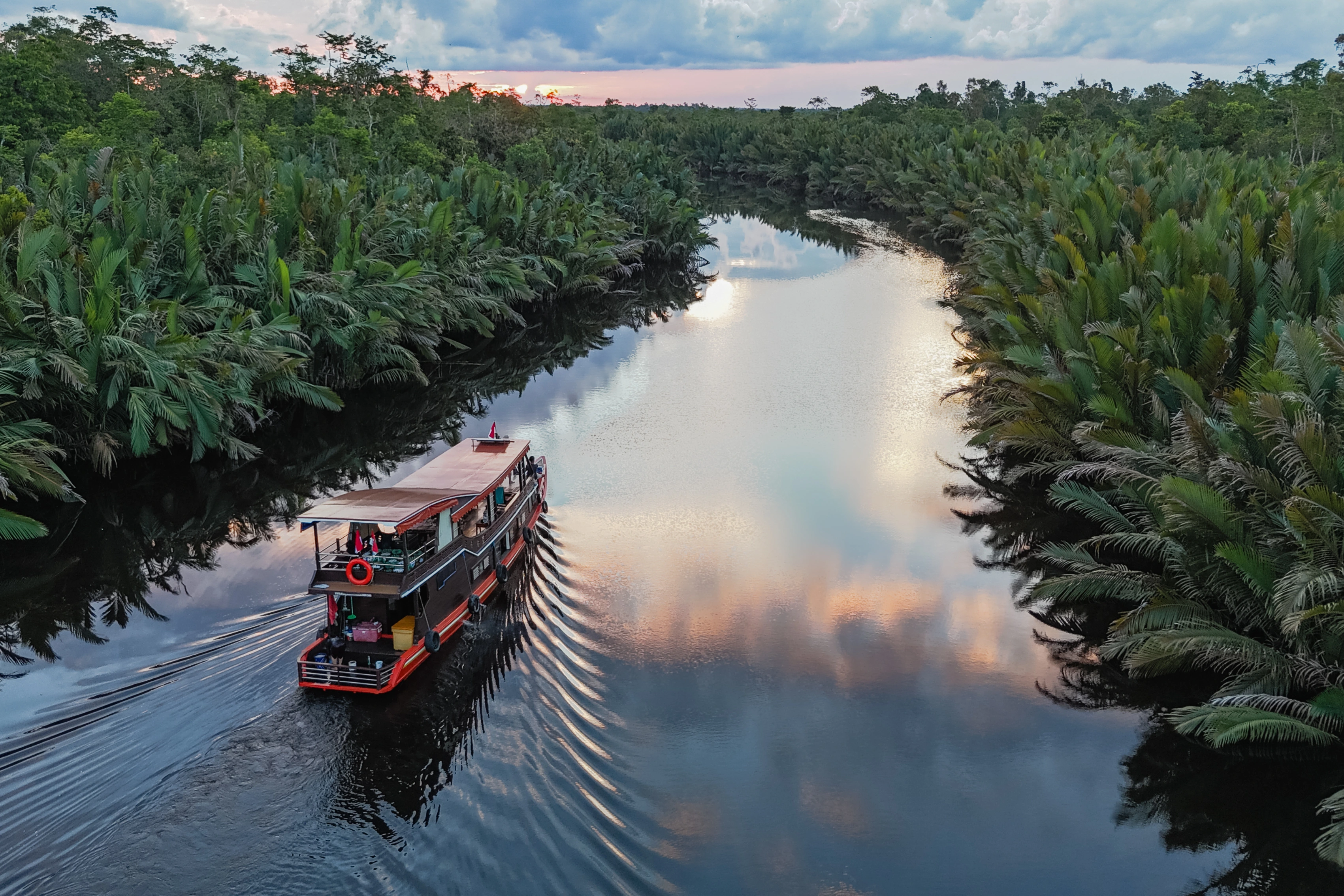 A motorboat leaves a widening wake on a palm-lined river reflecting pink clouds.